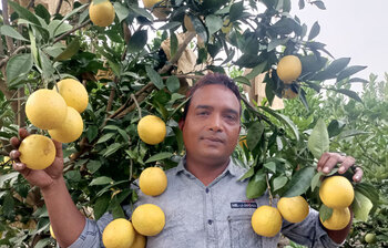 ইউটিউবে ভিডিও দেখে মাল্টা চাষে সফল রুবেল