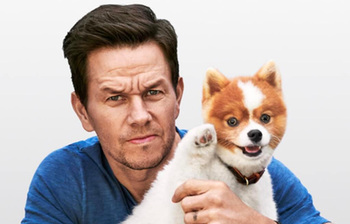 শিল্প, সাধনা ও সাহসিকতার গল্পে মার্ক ওয়ালবার্গ