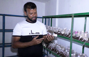মাশরুম চাষে স্বপ্নপূরণ