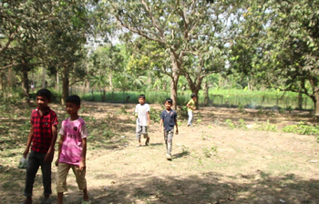 তীব্র তাপপ্রবাহে ঝরছে আম-লিচুর গুটি