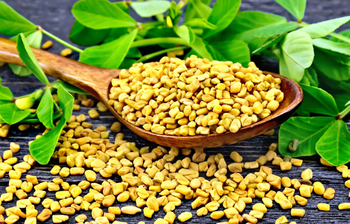 নিয়মিত মেথি খেলে সারবে যেসব কঠিন রোগ