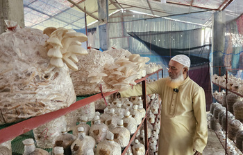 মাশরুম চাষে স্বাবলম্বী মিরসরাইয়ের কাশেম