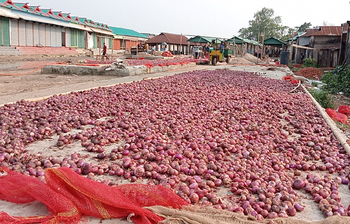 আজকের আলোচিত ছবি: ৩০ মার্চ ২০২৪