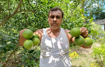 মাল্টা চাষে তুহিনের বাজিমাত