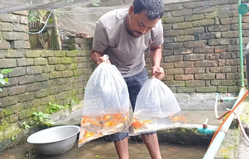 রঙিন মাছের জাদুতে জীবনের রং বদলেছেন সাগর