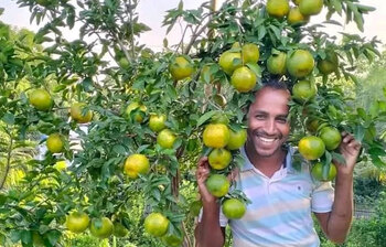 নার্সারির চারা বিক্রি করেই সফল ইমদাদুল