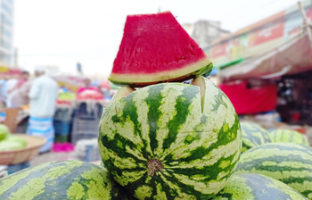 তরমুজ খাওয়া এখন বিলাসিতা