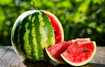 তরমুজের মজিতো