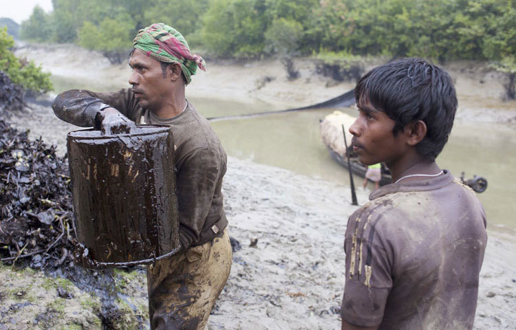 সুন্দরবনে ট্যাংকার দুর্ঘটনার পর ছড়িয়ে পড়ছে তেল এখনো কৃত্রিম পদ্ধতিতে সংগ্রহ করছেন স্থানীয় জনগণ