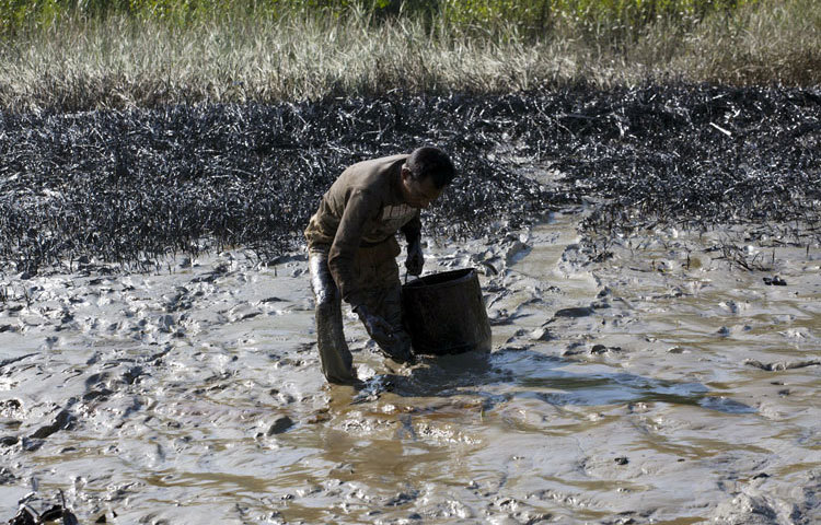 সুন্দরবনে ট্যাংকার দুর্ঘটনার পর ছড়িয়ে পড়ছে তেল এখনো কৃত্রিম পদ্ধতিতে সংগ্রহ করছেন স্থানীয় জনগণ
