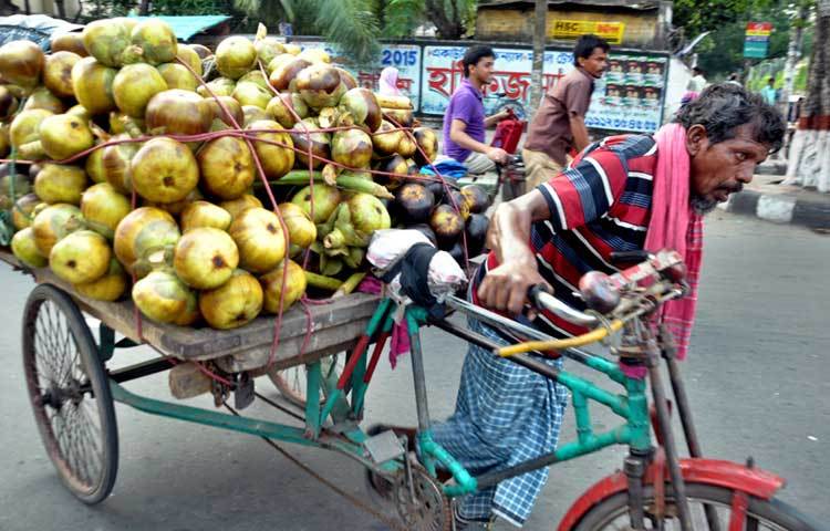 ঢাকায় আসতে শুরু করেছে মৌসুমি ফল