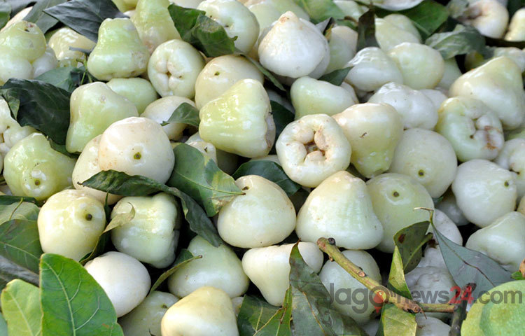 রাজধানীর বিভিন্ন বাজারে পাওয়া যাচ্ছে রসালো ফল