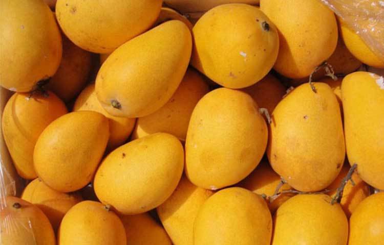 বৈশাখ : বিশাখা নক্ষত্র থেকে এই মাসের নামকরণ হয়েছে। এ মাসের নাম শুনলেই সবার চোখের সামনে পাকা আমের ছবি ভেসে উঠে।