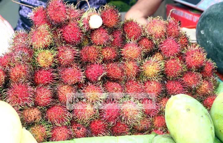 শুধু রসনা বিলাশে নয় এসব বিদেশি ফল দেখলে মনও জুড়িয়ে যায়। আজ পল্টন এলাকা থেকে এ ছবি ক্যামেরাবন্দী করেছেন আলোকচিত্রী বিপ্লব দিক্ষিৎ।