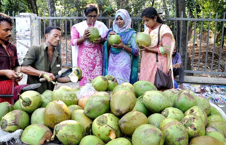 গরম থেকে একটু নিস্তার পেতে ডাবের পানি পান করছেন কয়েক সহপাঠী। ছবি : বিপ্লব দিক্ষিৎ।