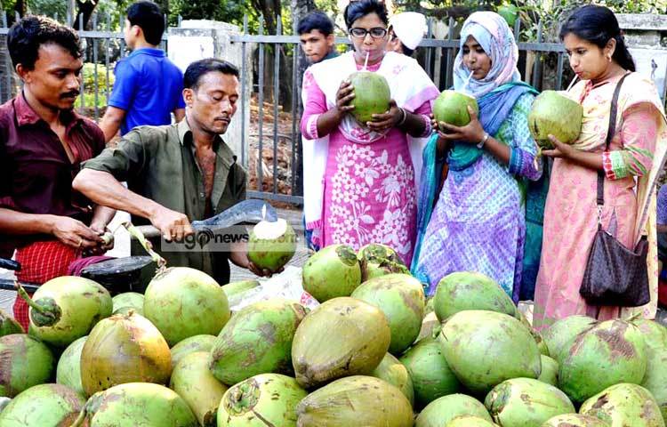 প্রতিটি ডাব ত্রিশ থেকে চল্লিশ টাকায় বিক্রি হচ্ছে। ছবি : বিপ্লব দিক্ষিৎ।