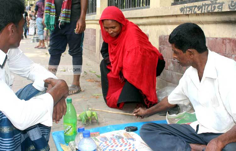ভাগ্য গণনার এ টিয়া পাখির কাছে লোকজনের ভিড়। ছবি : বিপ্লব দিক্ষিৎ।