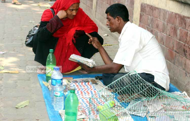 টিয়া পাখির ঠোঁট দিয়ে তুলে আনা খামে কি লেখা রয়েছে তা শাস্ত্র দিয়ে কাস্টমারকে বুঝিয়ে দিচ্ছেন জ্যোতিষী। ছবি : বিপ্লব দিক্ষিৎ।