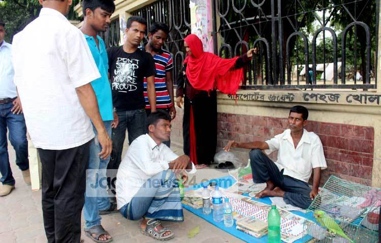 ফটোশুটে টিয়া পাখির জ্যোতিষী। ছবি : বিপ্লব দিক্ষিৎ।