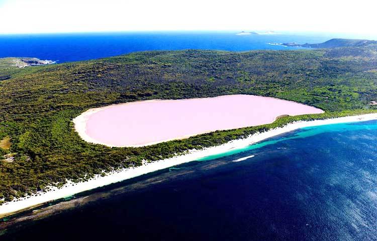 &nbsp;লেক হিল : অস্ট্রেলিয়ার মনোমুগ্ধকর এই জায়গাটি স্বচোখে না দেখলে সাত্যিই বিশ্বাস করার মতো নয়।