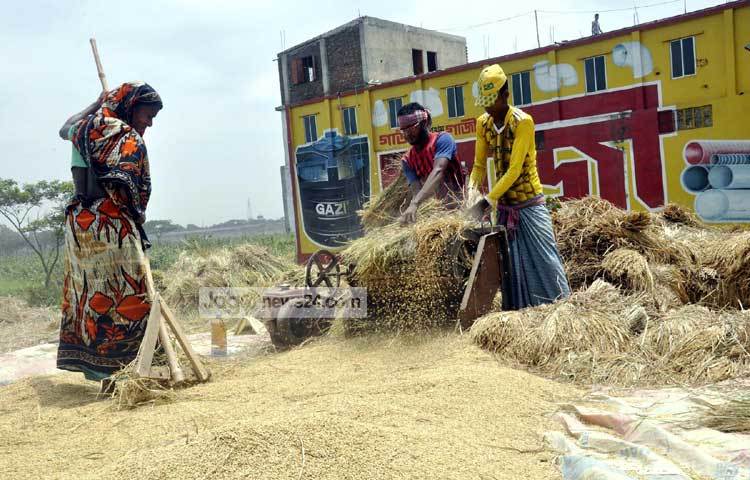 নারী পুরুষের সম্মিলিত শ্রমের কল্যাণে আমাদের অন্ন জোটে। এদের জীবনের সুখ-দুঃখের খোঁজ কি আমরা রাখি। ছবি : বিপ্লব দিক্ষিৎ।