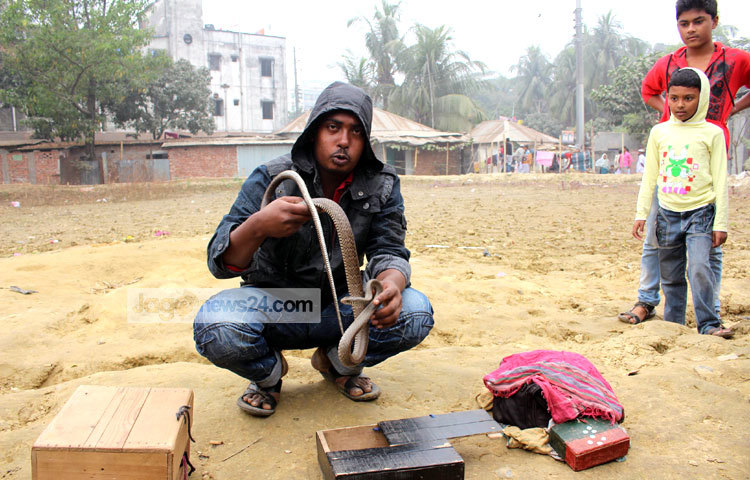 সাপের খেলা দেখে দুই শিশু ভয় মিশ্রিত আনন্দ পেয়েছে। তাই তো একুট দূরে দাঁড়িয়ে কৌতূহলী দৃষ্টিতে সাপের খেলা দেখছে। সম্প্রতি কামরাঙ্গির চর এলাকা থেকে ছবিটি তুলেছেন বিপ্লব দিক্ষিৎ।