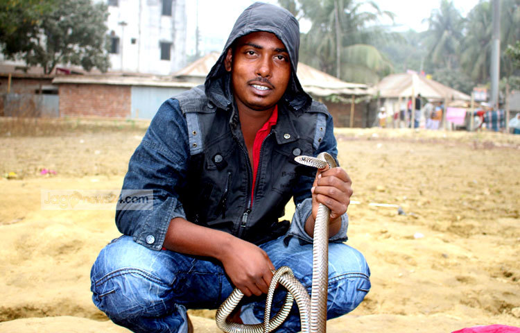 তন্ত্রমন্ত্র পড়ে সাপকে বশে এনেছেন সাপুড়ে। সম্প্রতি কামরাঙ্গির চর এলাকা থেকে ছবিটি তুলেছেন বিপ্লব দিক্ষিৎ।