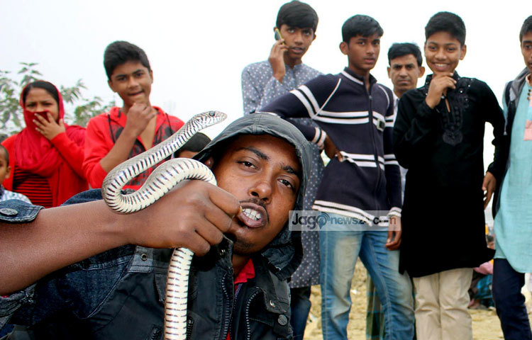 সাপের খেলা দেখে কেউ হাসছে, আবার কেউ ভয়ে মুখ চেপে ধরেছে।&nbsp;সম্প্রতি কামরাঙ্গির চর এলাকা থেকে ছবিটি তুলেছেন বিপ্লব দিক্ষিৎ।