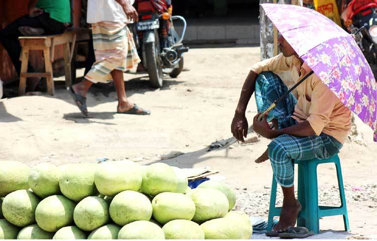 ঠাকুরগাঁওয়ে গরমে তরমুজ বিক্রি বেড়েছে। ছবি : রবিউল এহ্সান রিপন।