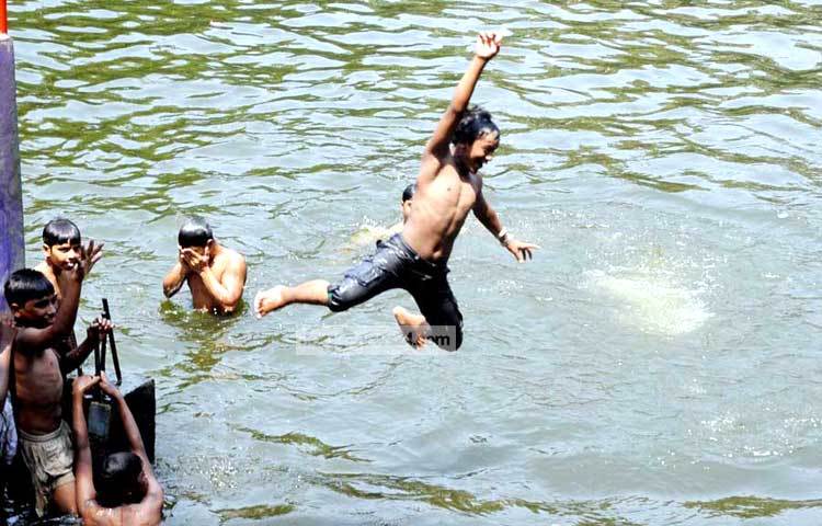 এই গরমে কিছুতেই পুকুর ছেড়ে উঠতে ইচ্ছে করছে না। ছবি : বিপ্লব দিক্ষিৎ।