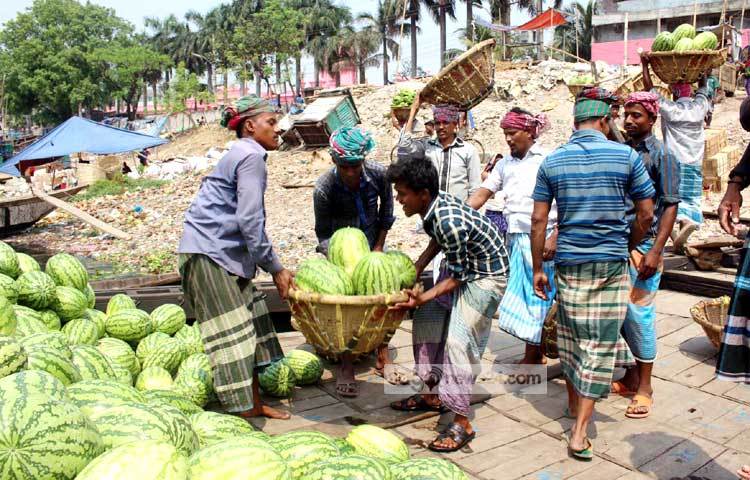 গরমের শুরুতেই তরমুজ সবার কাছে ফল হিসেবে ব্যাপক সমাদৃত। ছবি : বিপ্লব দিক্ষিৎ।