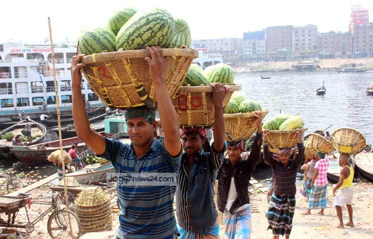 টুকরি ভরে সারিবদ্ধভাবে ঘাটের শ্রমিকরা তরমুজ আড়তে নিয়ে যাচ্ছেন। ছবি : বিপ্লব দিক্ষিৎ।