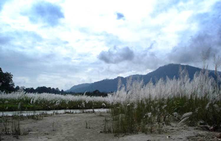 ভাদ্র : ভদ্রা নক্ষত্রের নাম থেকে এই মাসের নামকরণ করা হয়েছে। ভাদ্রে গ্রাম বাংলায় শুভ্র কাশ ফুল ফোটে।