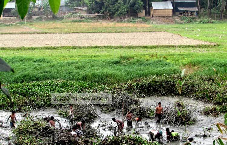 গ্রাম জুড়ে মাছ শিকারের উৎসব চলছে। শরীয়তপুর সদর উপজেলার ডোমসার থেকে ছবি তুলেছেন মো. ছগির হোসেন।