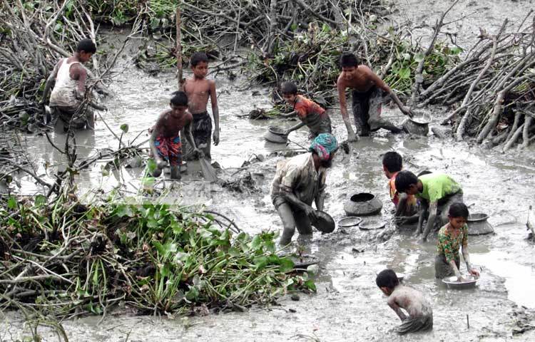 মাছ ধরার এ উৎসব দেখলে মনে হয়, সত্যিই আমরা &lsquo;মাছে ভাতে বাঙ্গালি&rsquo;। শরীয়তপুর সদর উপজেলার ডোমসার থেকে ছবি তুলেছেন মো. ছগির হোসেন।