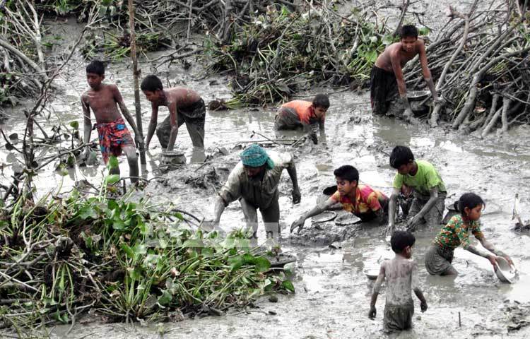 বড়দের সঙ্গে ছোটরাও মাছ ধরার আনন্দে মেতেছে। শরীয়তপুর সদর উপজেলার ডোমসার থেকে ছবি তুলেছেন মো. ছগির হোসেন।