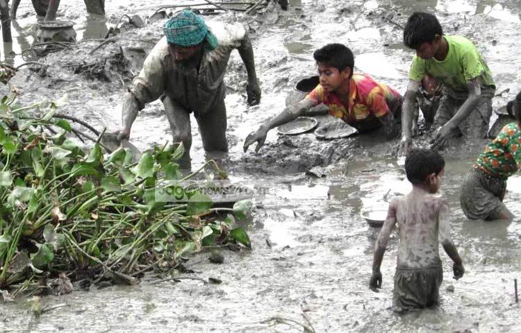 একটি মাছও হাত ছাড়া হতে পারবে না তাদের। শরীয়তপুর সদর উপজেলার ডোমসার থেকে ছবি তুলেছেন মো. ছগির হোসেন।