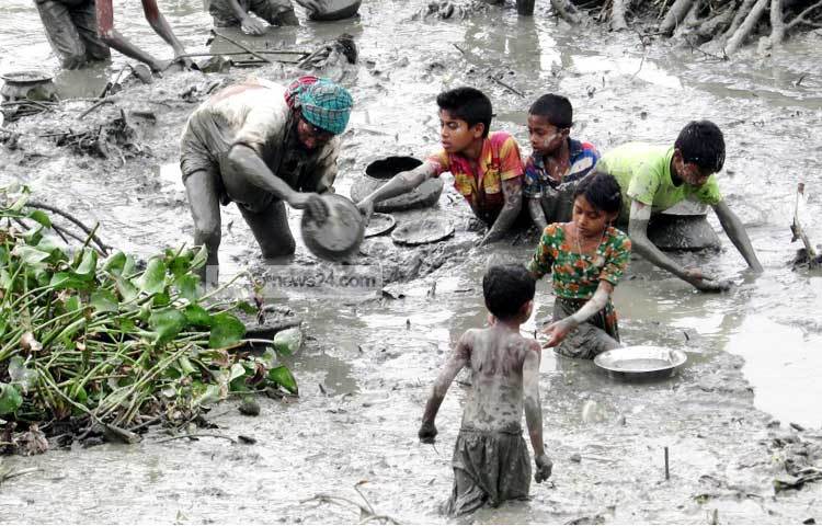 বিরামহীন গতিতে মাছ ধরা চলছে। শরীয়তপুর সদর উপজেলার ডোমসার থেকে ছবি তুলেছেন মো. ছগির হোসেন।