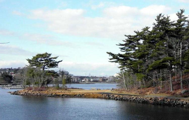 ডেডম্যান্স আইল্যান্ড : কলম্বিয়ায় এই ভুতুড়ে দ্বীপটি রয়েছে। স্থানীয় স্কোয়ামিশ উপজাতিদের কবরস্থান বলে এ দ্বীপটি পরিচিত। এখানে সব সময় ভুতুড়ে পরিবেশ থাকে।