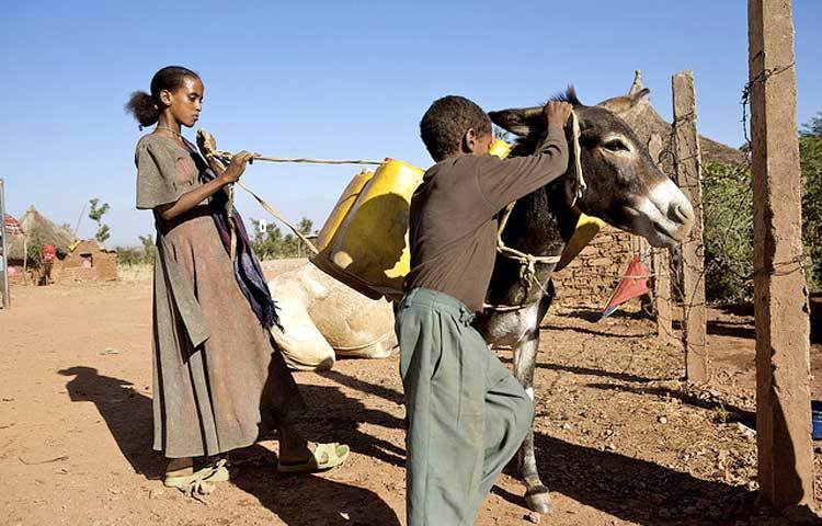 ইরিট্রিয়া : এদেশের নামটি অনেকের কাছে অপরিচিত হলেও এটি দুর্নীতিপরায়ণদের স্বর্গরাজ্যে হয়ে উঠেছে বলে পরিচিতি লাভ করতে শুরু করেছে।