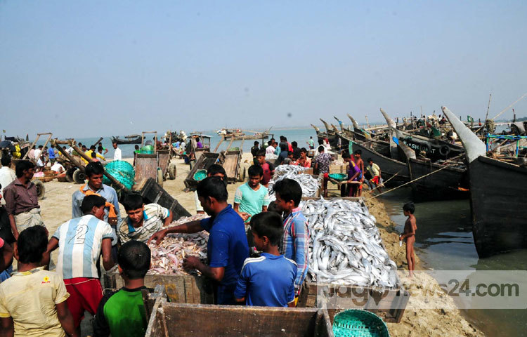 কক্সবাজারের শুঁটকি পট্টি এলাকায় জেলেরা মাছ ধরার কাজে এখন ভীষণ ব্যস্ত সময় কাটাচ্ছেন। তারা সমুদ্র থেকে আহরিত মাছ প্রক্রিয়াজাত করণের জন্য দিনরাত কাজ করে যাচ্ছেন। সম্প্রতি কক্সবাজার এলাকা থেকে ছবিটি তুলেছেন-বিপ্লব দিক্ষিৎ