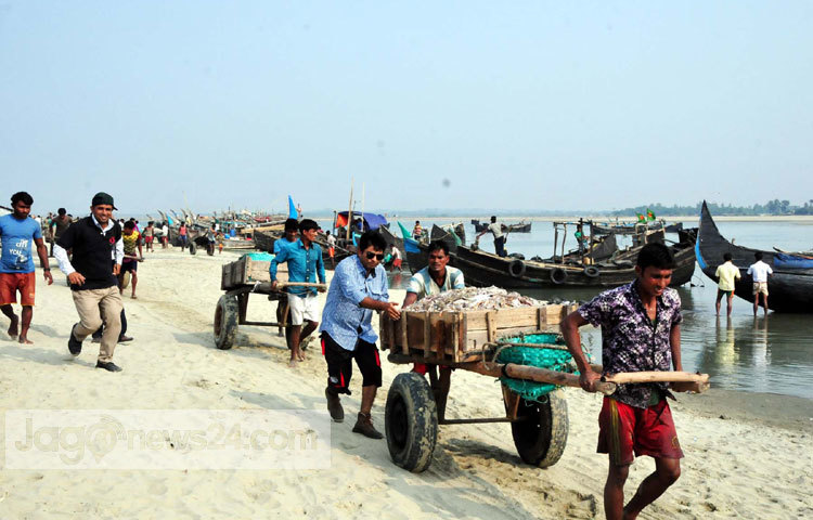 কক্সবাজারের শুঁটকি পট্টি এলাকায় জেলেরা মাছ ধরার কাজে এখন ভীষণ ব্যস্ত সময় কাটাচ্ছেন। তারা সমুদ্র থেকে আহরিত মাছ প্রক্রিয়াজাত করণের জন্য দিনরাত কাজ করে যাচ্ছেন। সম্প্রতি কক্সবাজার এলাকা থেকে ছবিটি তুলেছেন-বিপ্লব দিক্ষিৎ