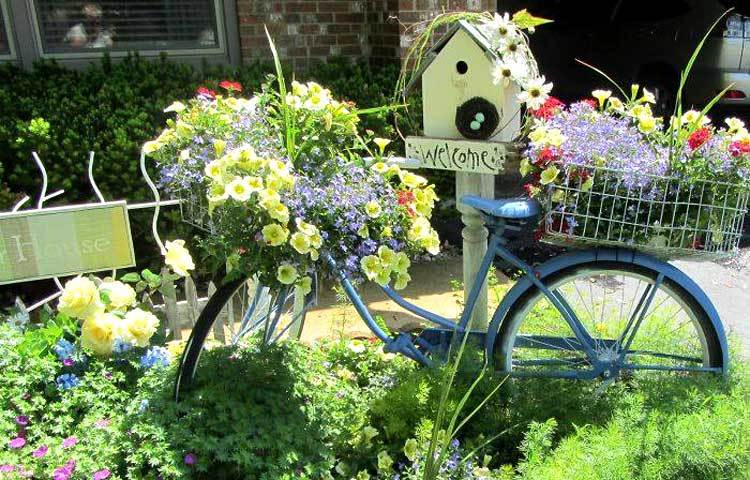 বাইসাইকেলের উপর ফুলের বাগান। ছবি : আই লাভ আফ্রিকা