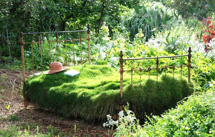 খাটের উপর ঘাস চাষ। ঘাসে ঘাসে ভরে গেছে পুরো খাট। ছবি : আই লাভ আফ্রিকা