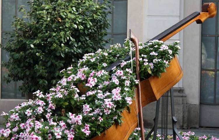 পিয়ানোর বুকে ফুলের বাগান। ছবি : আই লাভ আফ্রিকা