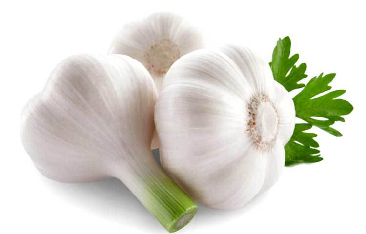 রসুন&nbsp; : ফ্রিজে রাখলে রসুন খুব তাড়াতাড়ি অঙ্কুরিত হয়ে যায়। সেই সঙ্গে রসুন অপেক্ষাকৃত নরম হয়ে যায়।