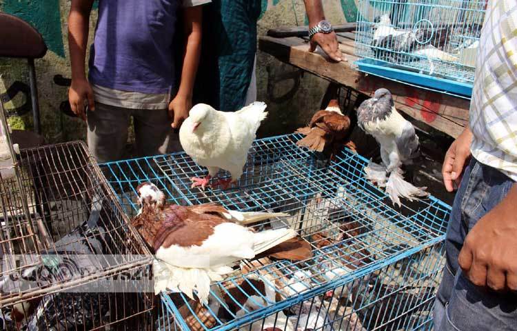 রাজধানী রামপুরার মেরাদিয়ায় প্রতি সপ্তাহের বুধবার এই হাটটি বসে। ঢাকার বিভিন্ন এলাকা থেকে এখানে অনেক মানুষ সদাইপাতি কিনতে আসে। এ হাটে নিত্য প্রয়োজনীয় সব কিছুই সুলভ মূল্যে পাওয়া যায়। ছবি : বিপ্লব দিক্ষিৎ