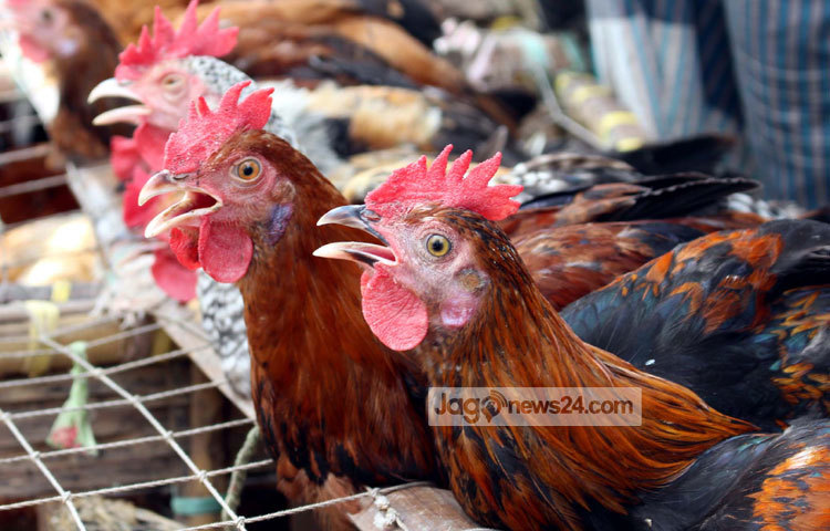 রাজধানীর রামপুরার মেরাদিয়ায় প্রতি বুধার এ হাটটি বসে। ছবি : বিপ্লব দিক্ষিৎ