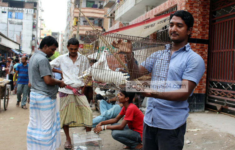 রাজধানীর রামপুরার মেরাদিয়ায় প্রতি বুধার এ হাটটি বসে। ছবি : বিপ্লব দিক্ষিৎ