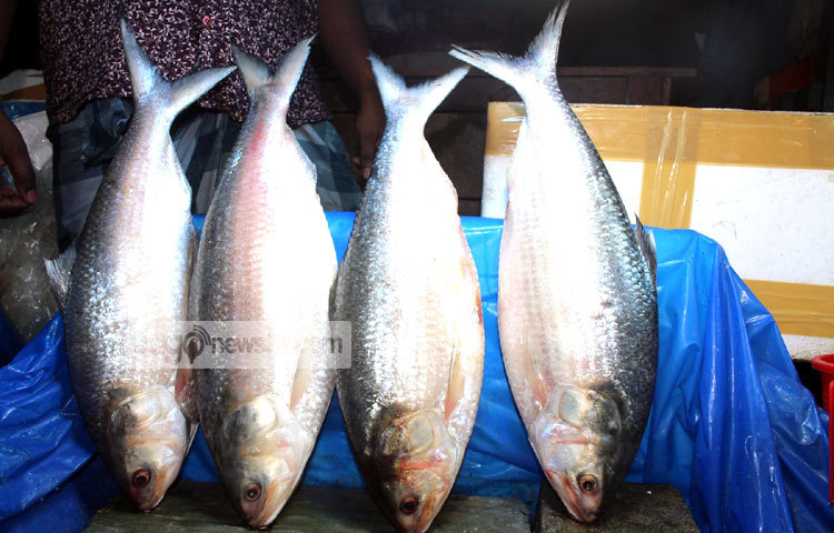 রাজধানীর বিভিন্ন বাজার ঘুরে দেখা গেছে মাছের দাম বেশি হলেও ক্রেতাদের মনে এ নিয়ে বিষাদের ছাপ নেই। ছবি : বিপ্লব দিক্ষিৎ।